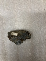 M 00893
<br/>
<br/>
<em></em>